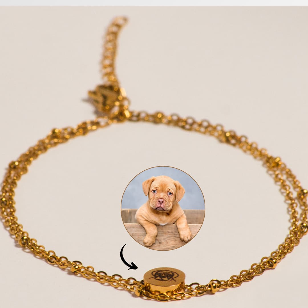 Vorher nachher Hund Armband gold
