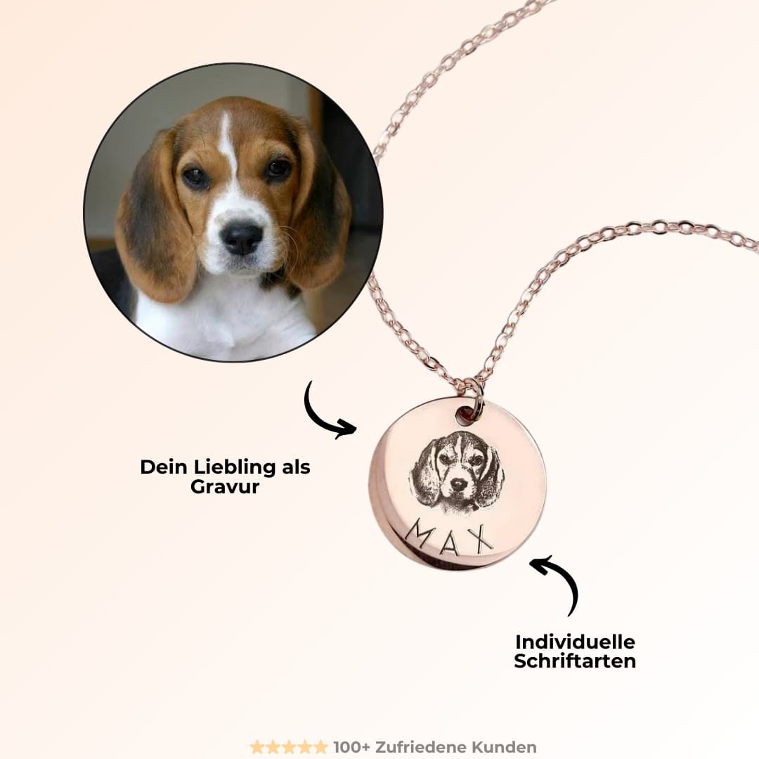 INDIVIDUELLE Haustierkette mit Tier Gravur before und after