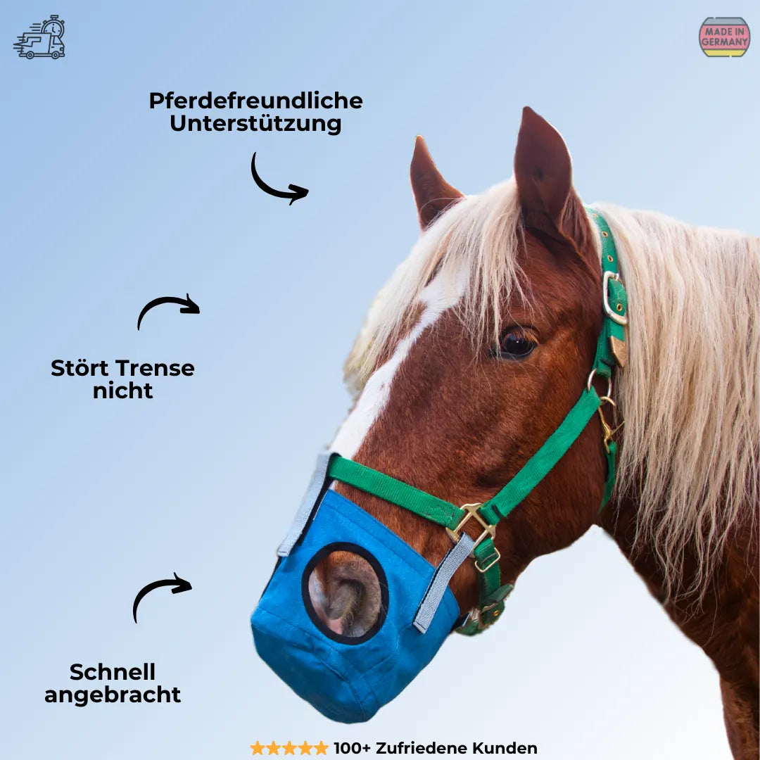 Pferde Maulkorb Fressnixx Blau am Pferd