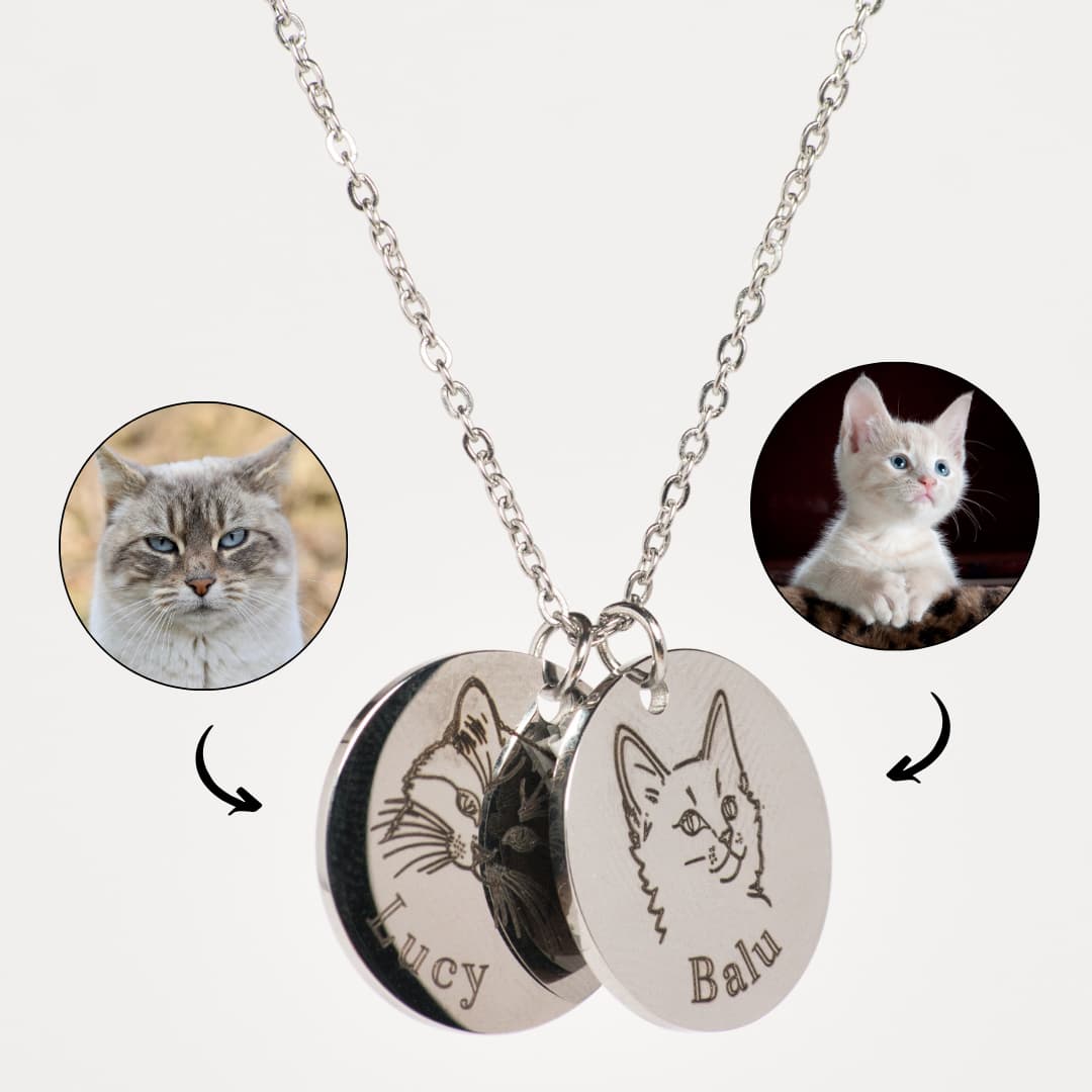 Katzenbilder before after Katzenanhänger