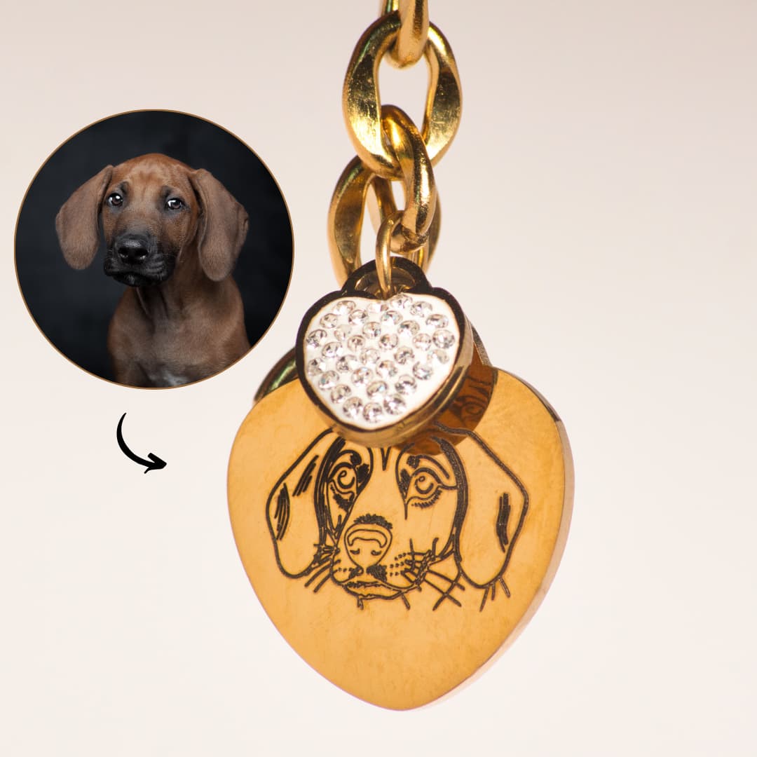 Vorher nachher Hund Armband Gold