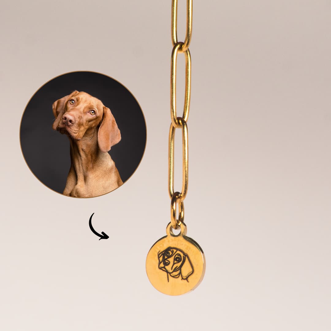 Vorher nachher Hund Armband gold