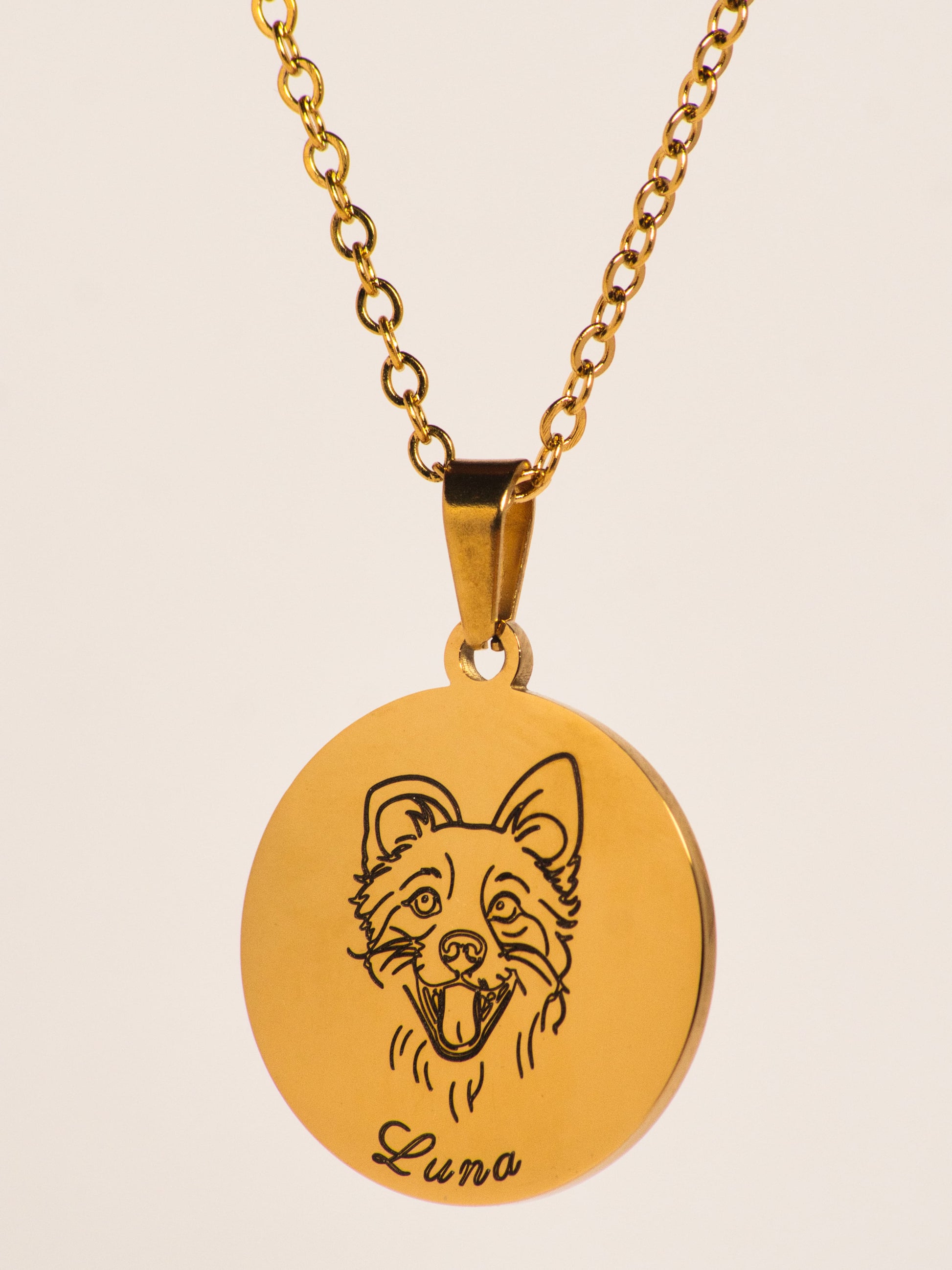 Hunde Kette Gold auf weißem Hintergrund