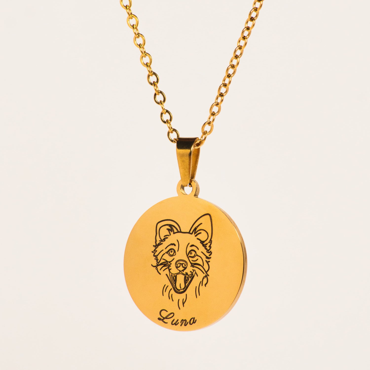 Gold Kette Hund 