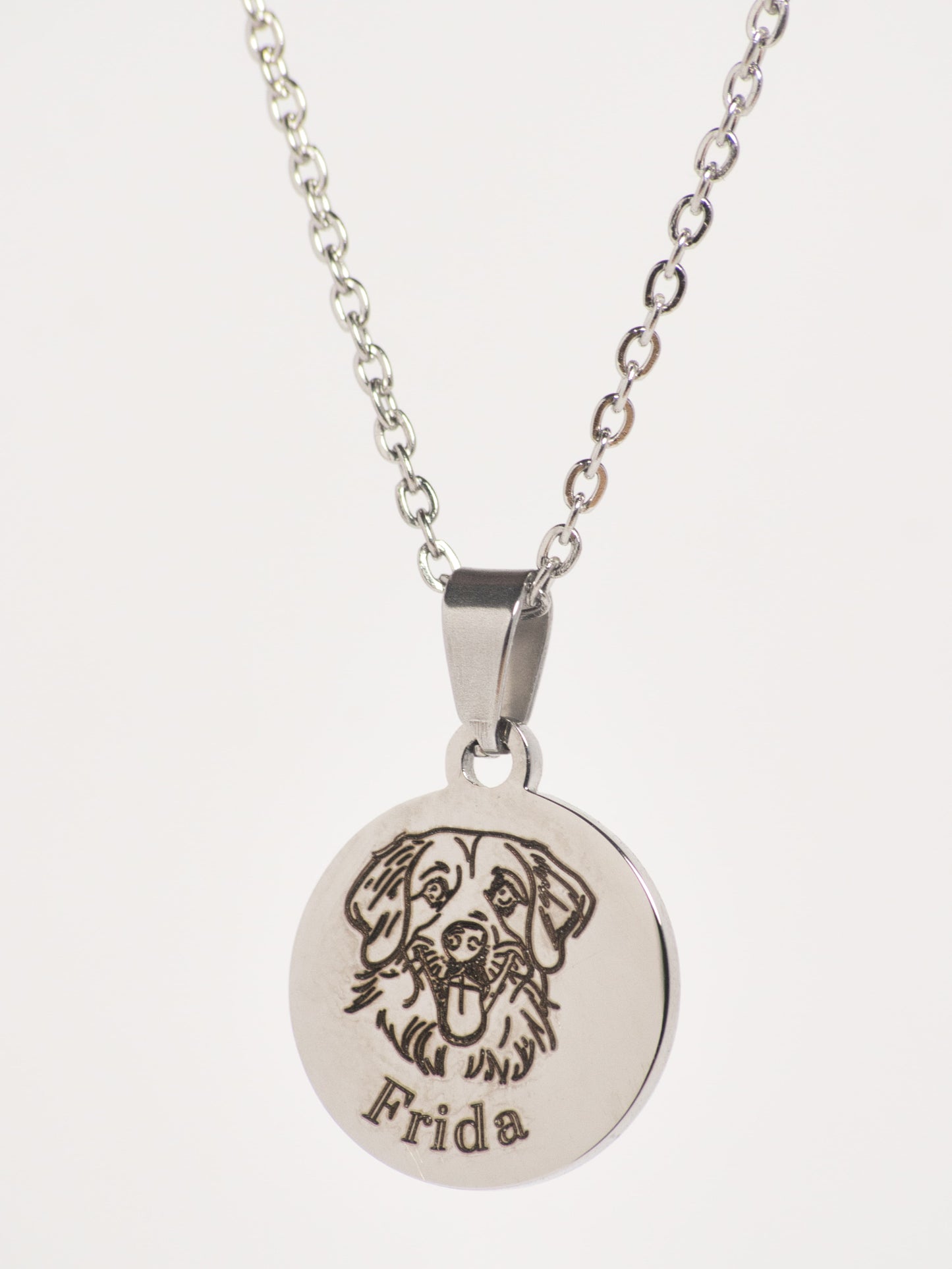 Hunde Kette Silber auf weißem Hintergrund 