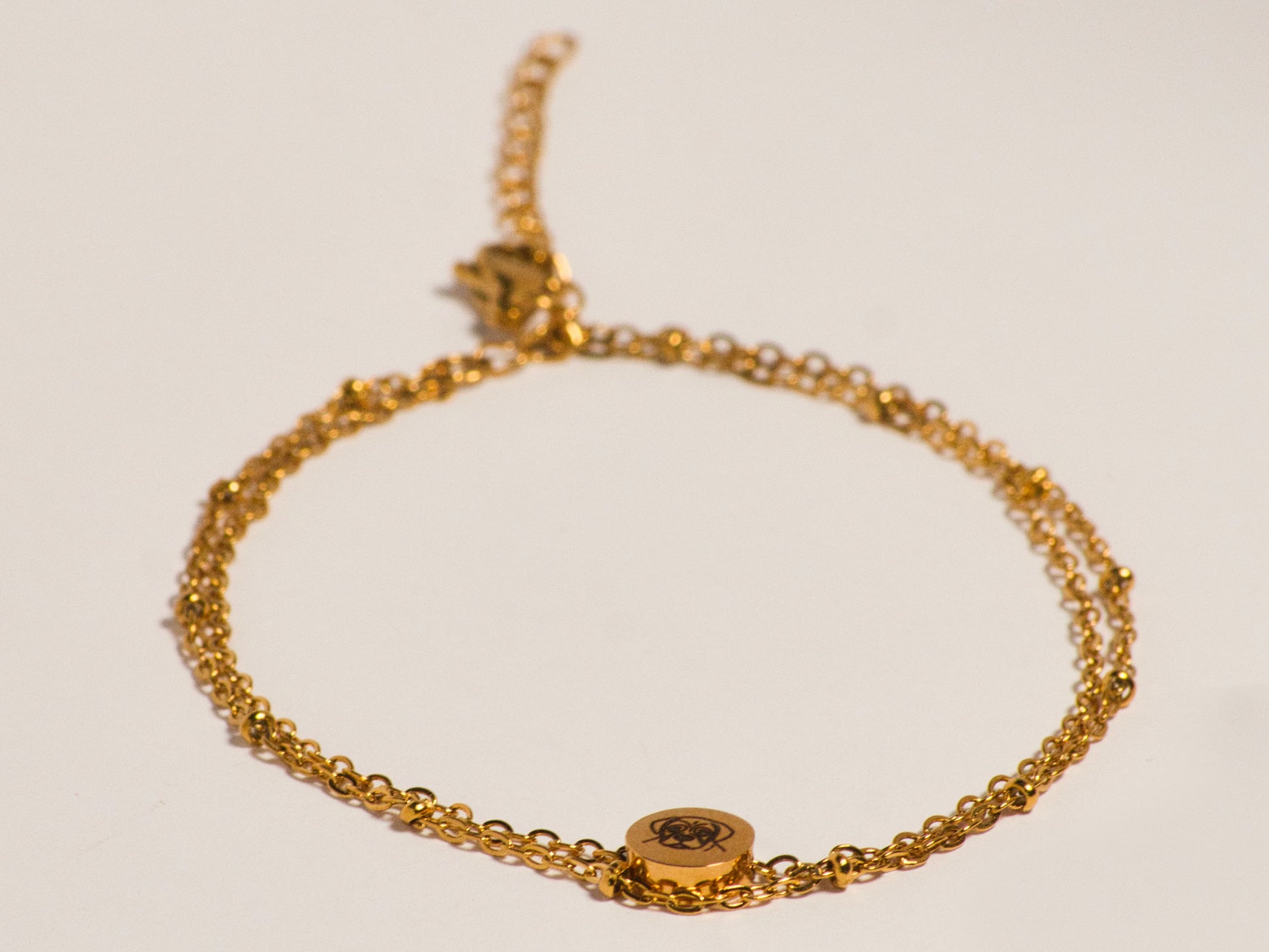 Hunde Fußkette Gold auf weißem Hintergrund