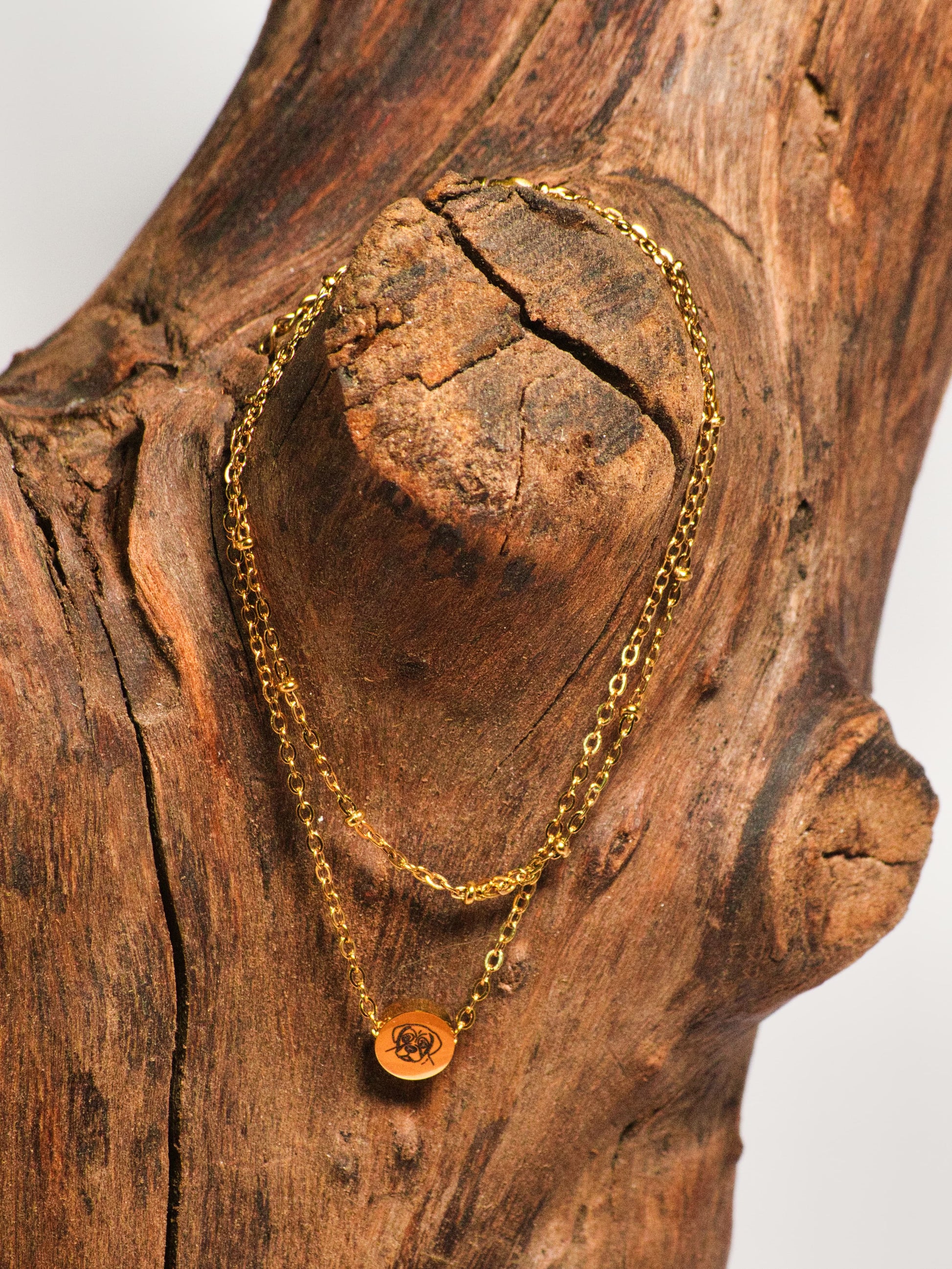 Hunde Fußkette Gold an Holz Block 