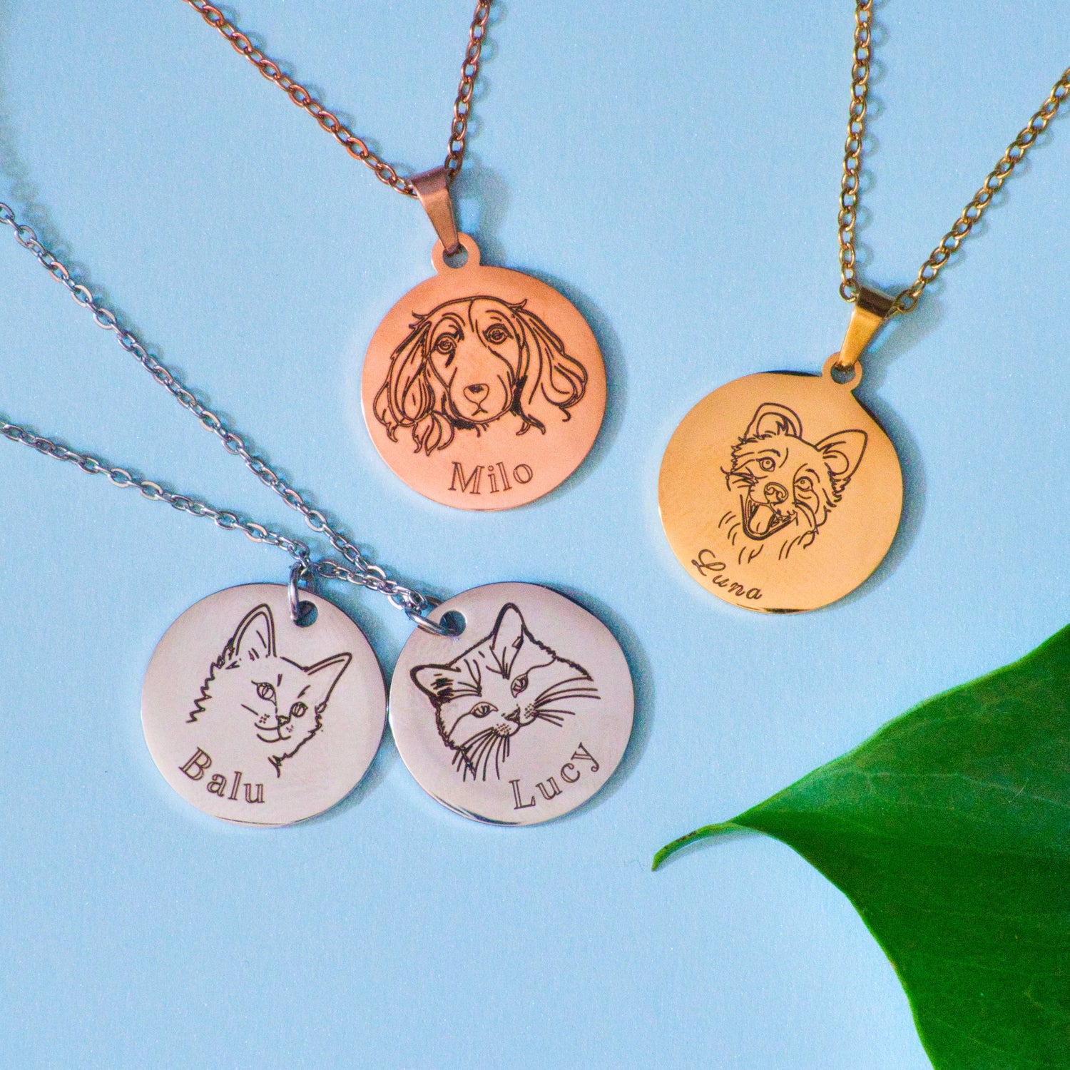 Hunde/Katzen Gravur Ketten Gold Silber Rose Gold Blauer Hintergrund mit Grünem Blatt